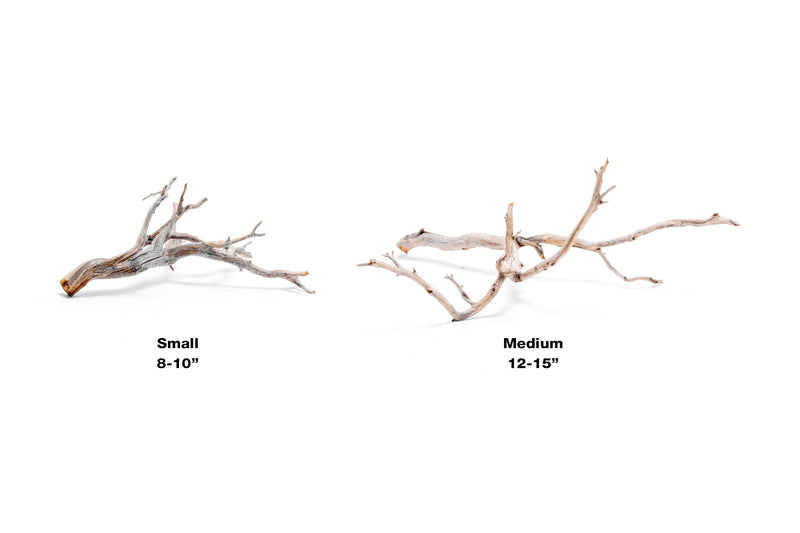 Natural Manzanita Driftwood piece with twisted branches and smooth, weathered surface, ideal for decorative or craft use.