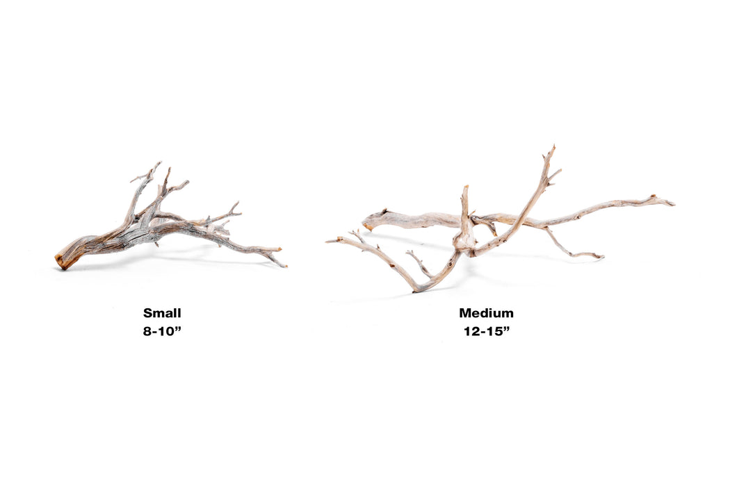 Manzanita Driftwood