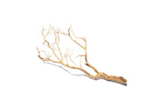 Sandblasted Manzanita Driftwood by DH, showing smooth, twisted branches ideal for decorative or artistic use.