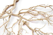 Sandblasted Manzanita Driftwood by DH, showcasing smooth, natural wood with twisted branches and unique driftwood texture.
