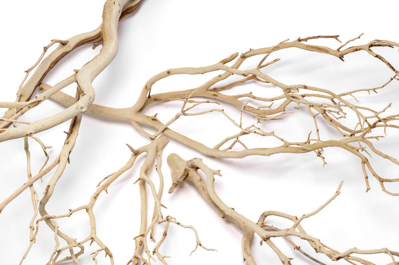 Sandblasted Manzanita Driftwood by DH, showcasing smooth, natural wood with twisted branches and unique driftwood texture.