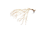 Sandblasted Manzanita Driftwood by DH, showcasing smooth, twisted natural wood with a weathered, rustic appearance.
