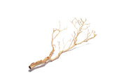 Sandblasted Manzanita Driftwood from DH, showcasing smooth, curved natural wood with a textured surface for decorative use.