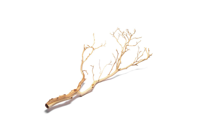 Sandblasted Manzanita Driftwood from DH, showcasing smooth, curved natural wood with a textured surface for decorative use.