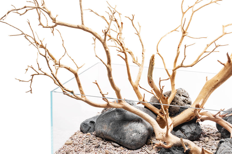 Sandblasted Manzanita Driftwood by DH, showcasing smooth, twisted natural wood with unique textures and organic shapes.