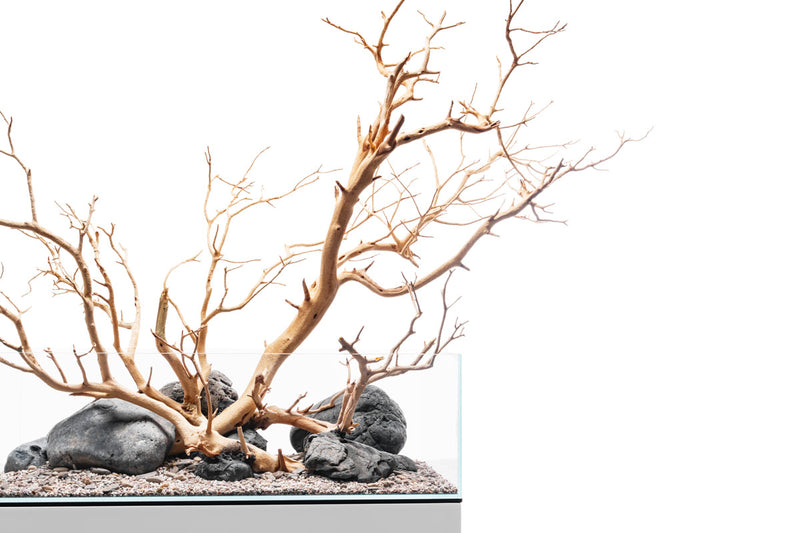 Sandblasted Manzanita Driftwood by DH, showcasing smooth, natural wood with intricate grain patterns and organic shape.