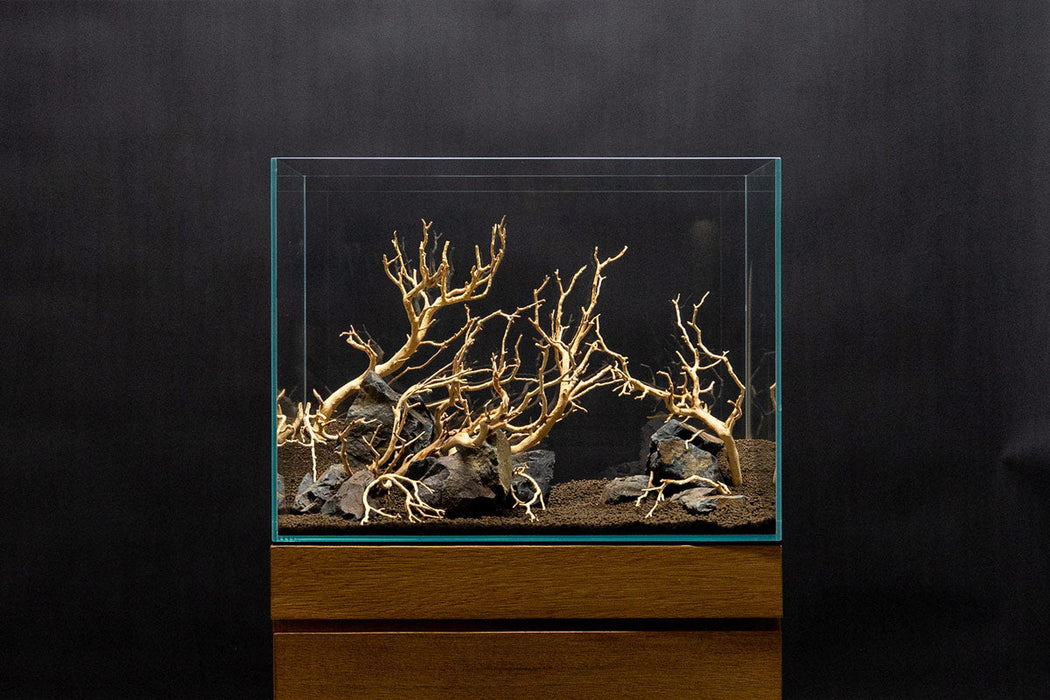 Manzanita Driftwood (Sandblasted)