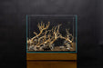 Manzanita Driftwood (Sandblasted)