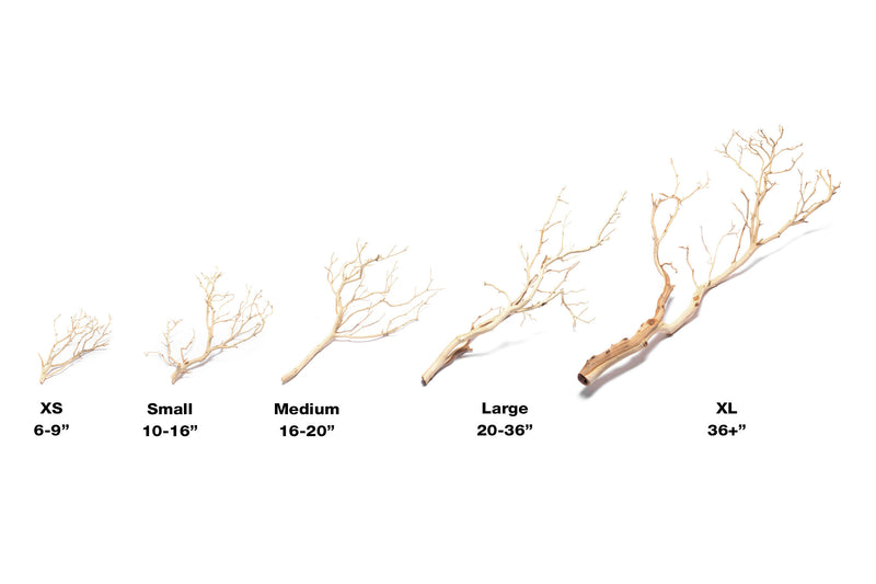 Sandblasted Manzanita Driftwood from DH, showcasing smooth, natural wood with unique twisted branches and textured surface.