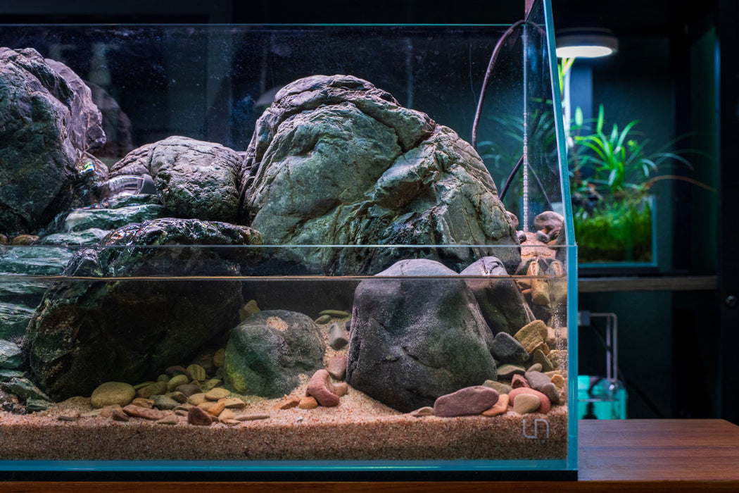 UNSHARDSCAPE Marsh Stone, natural decorative stone with earthy tones, used for landscaping and garden accents.