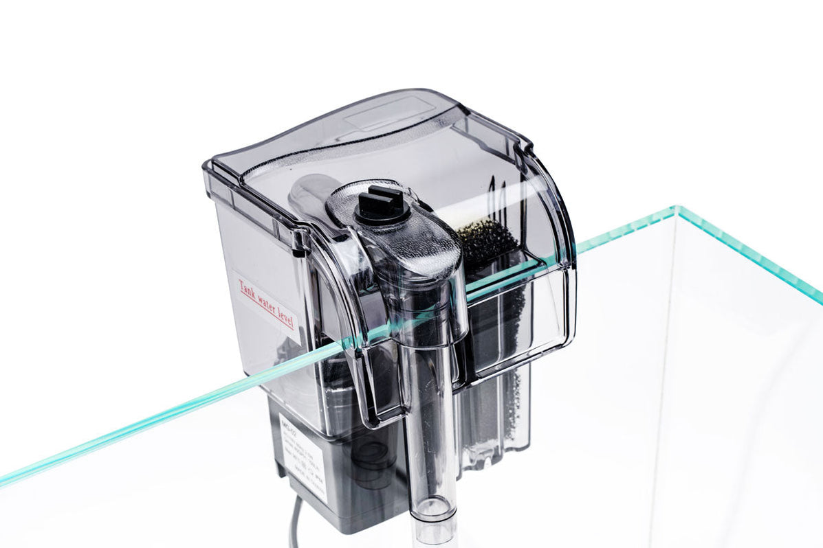 Mighty Aquarium Filter HOB — Buce Plant