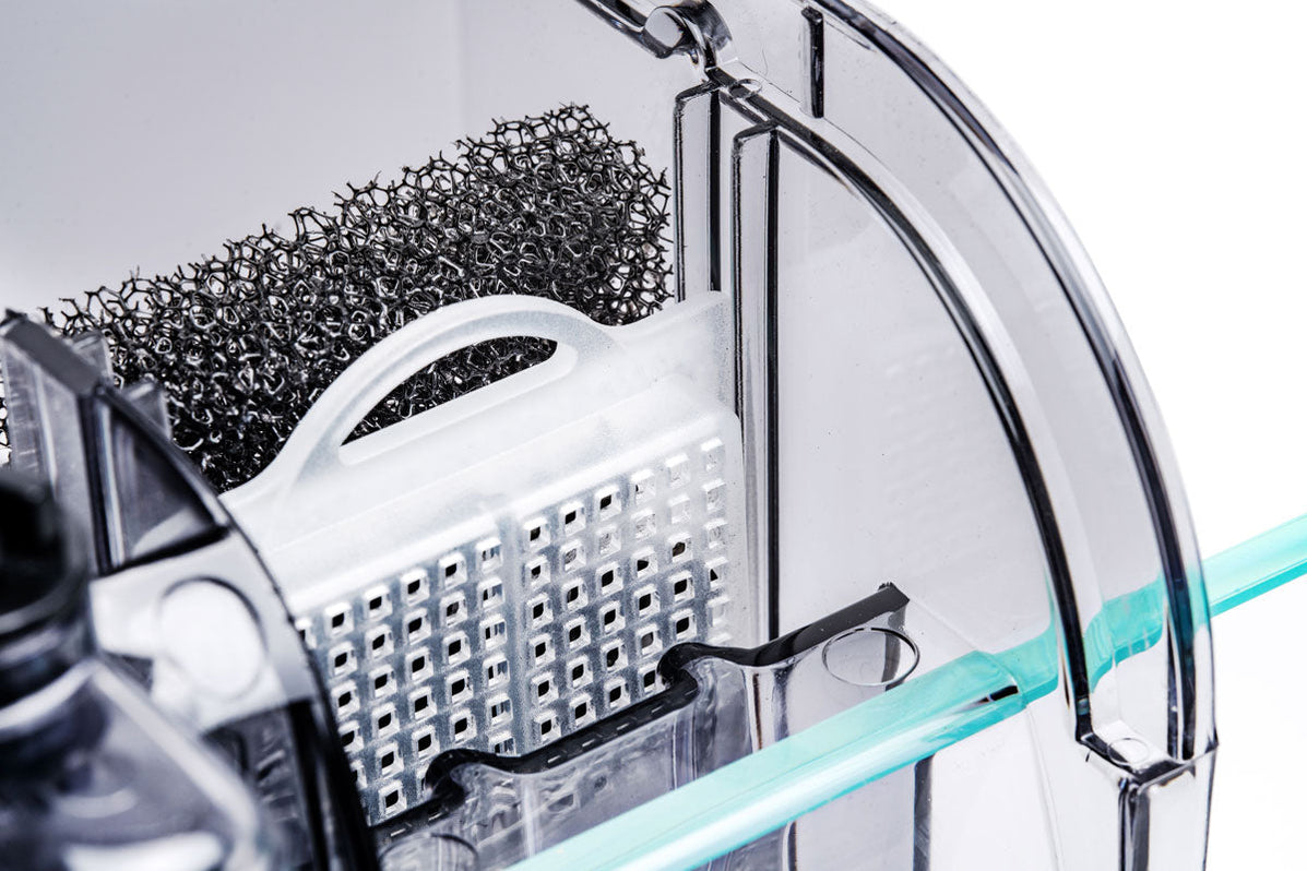 Mighty Aquarium Filter HOB — Buce Plant