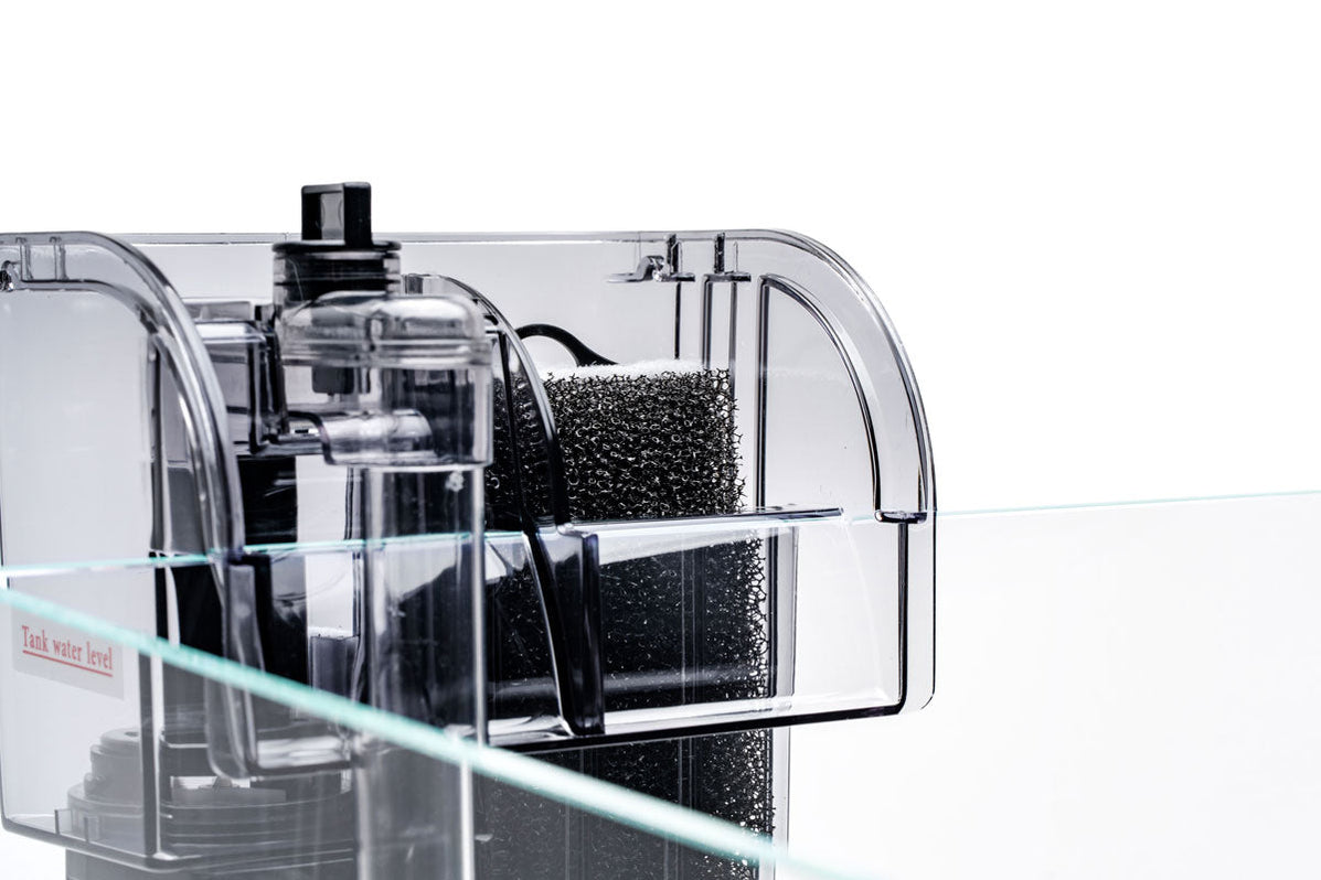 Mighty Aquarium Filter HOB — Buce Plant