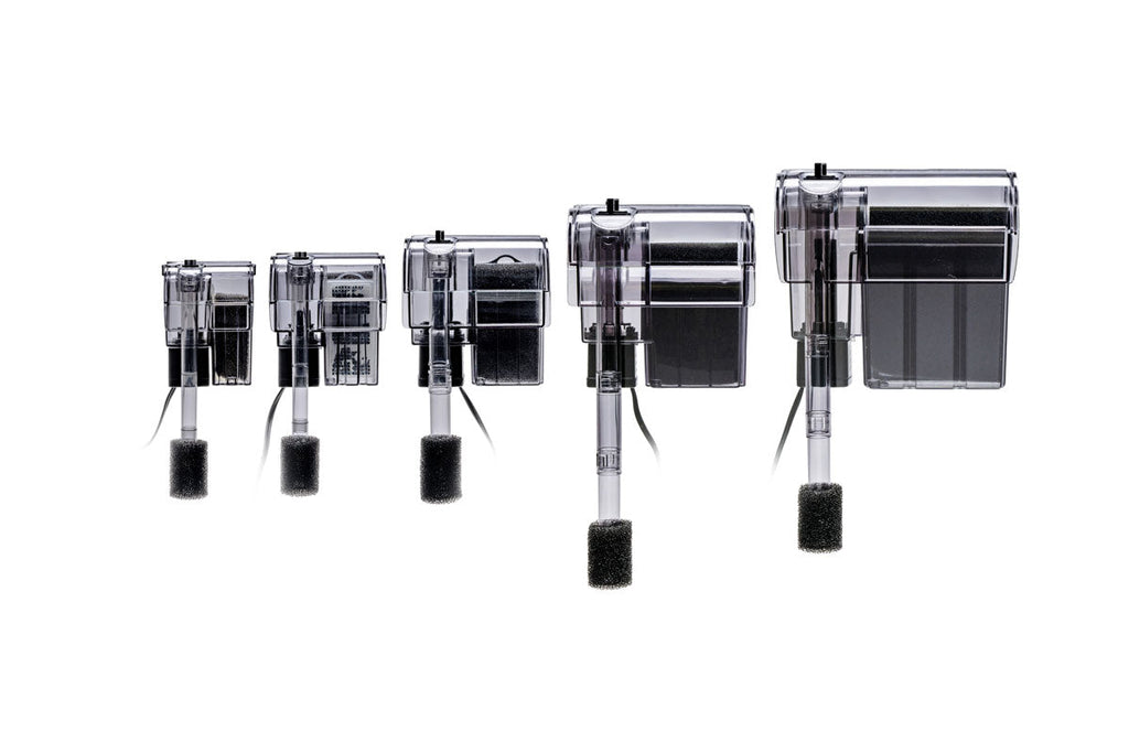 Filtration for Planted Aquariums - Buce Plant