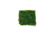 Mini Pellia on Stainless Steel Mesh Moss - Buce Plant