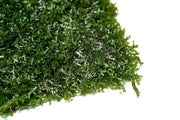 Mini Pellia on Stainless Steel Mesh Moss - Buce Plant
