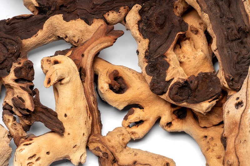 Mopani Wood Driftwood - Buce Plant
