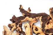 Mopani Wood Driftwood - Buce Plant