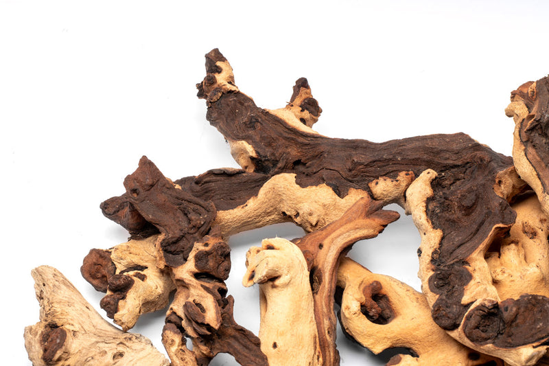 Mopani Wood Driftwood - Buce Plant