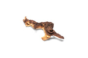 Mopani Wood Driftwood - Buce Plant