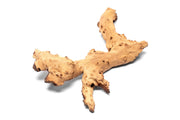 Mopani Wood Driftwood - Buce Plant