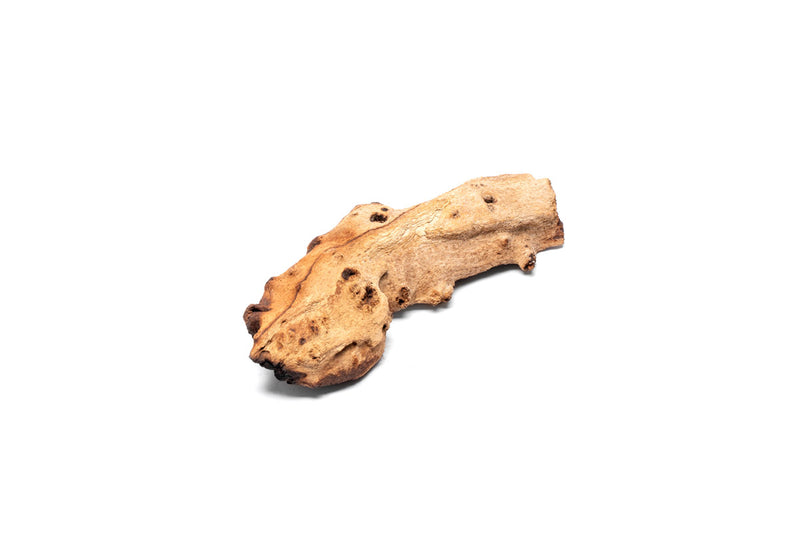 Mopani Wood Driftwood - Buce Plant