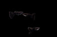 Moscow Black Guppies - Breeding Pair