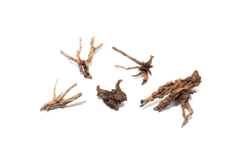 Nano Horn Wood Driftwood - Buce Plant