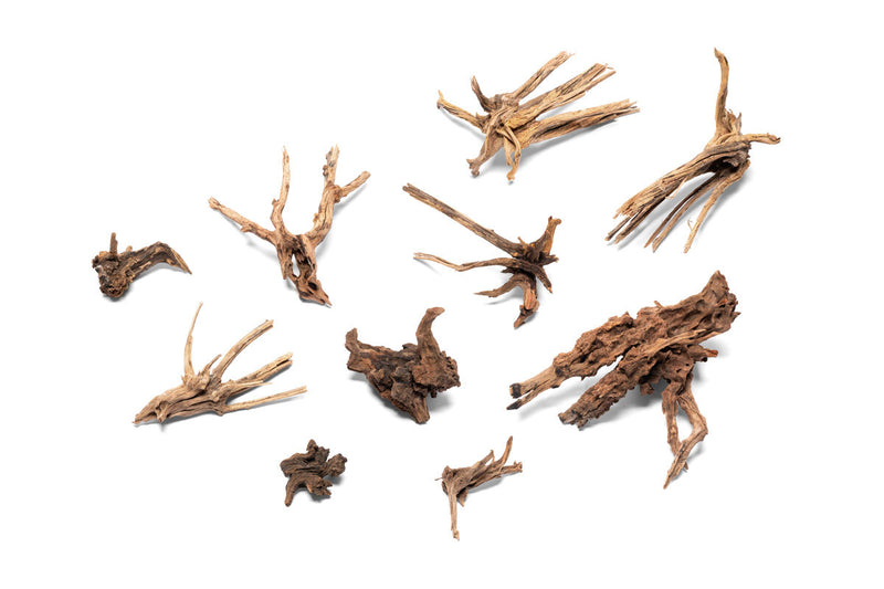 Nano Horn Wood Driftwood - Buce Plant
