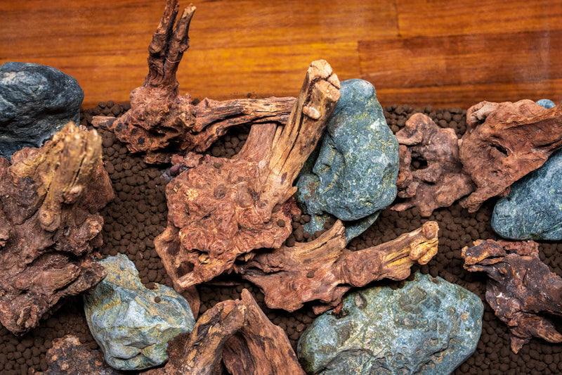 Nano Horn Wood Driftwood - Buce Plant