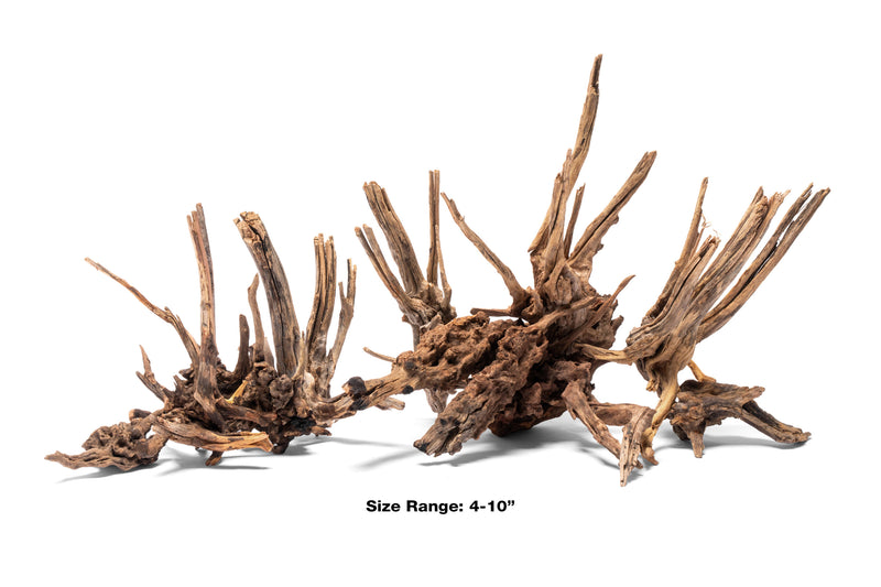 Nano Horn Wood Driftwood - Buce Plant