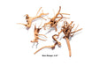 Close-up of Nano Spiderwood driftwood from UNSHARDSCAPE, showcasing its intricate, twisted natural wood structure for aquascaping.