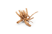 Nano Spiderwood