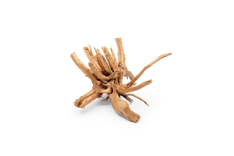 Nano Spiderwood