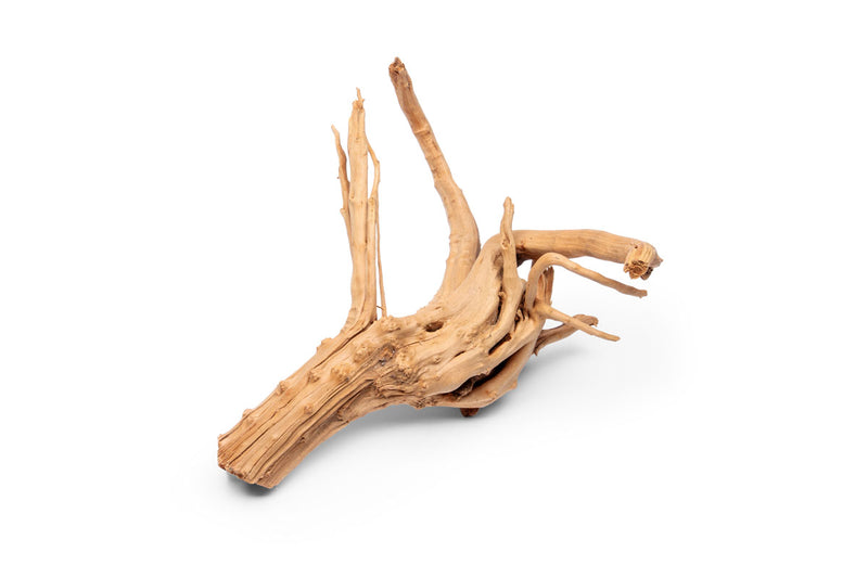 Nano Spiderwood