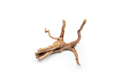 Nano Spiderwood