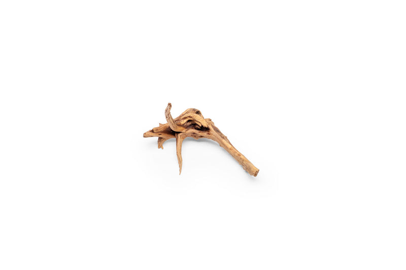 Nano Spiderwood