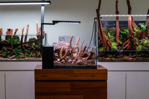 Nano Spiderwood