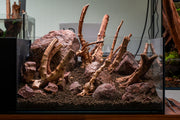 Nano Spiderwood