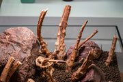 Nano Spiderwood