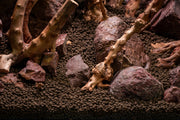 Nano Spiderwood