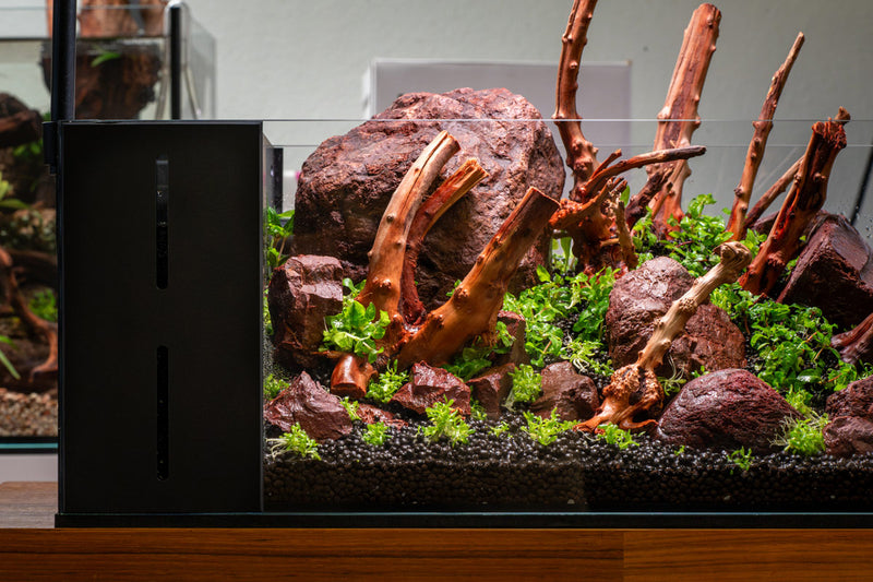 Nano Spiderwood