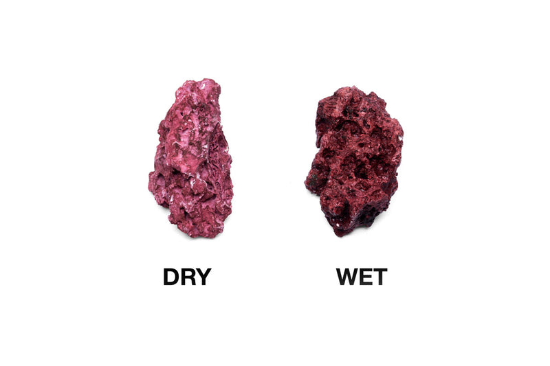 Natural Reef Rock - Coralline
