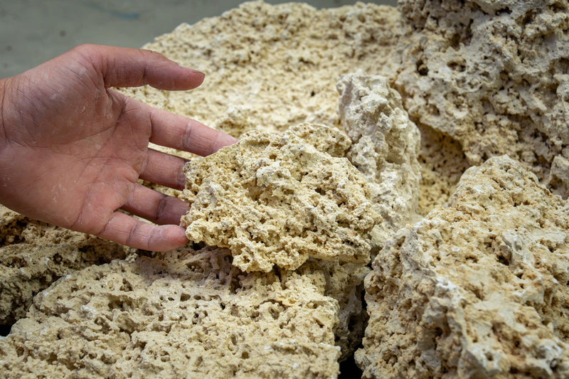 Natural Reef Rock - Premium