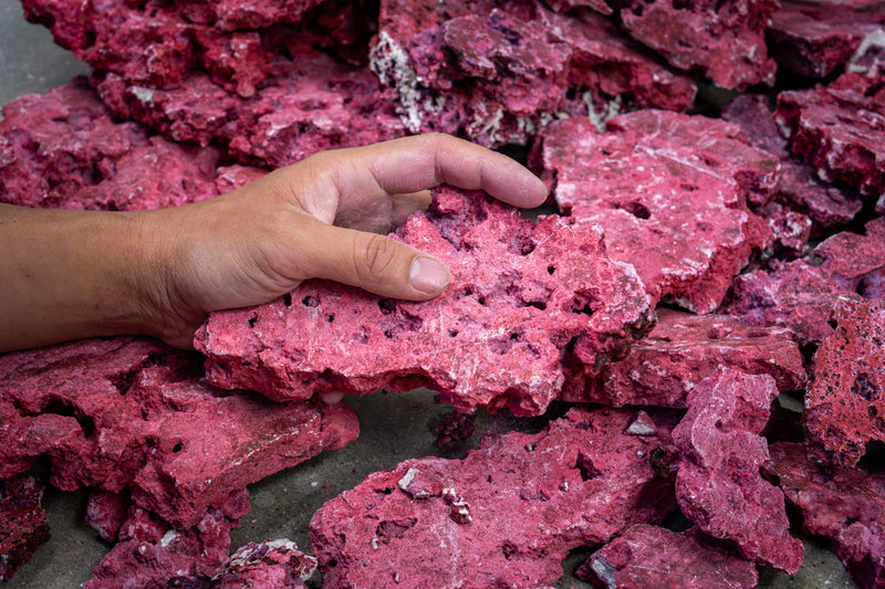 Natural Reef Shelf Rock - Coralline