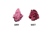 Natural Reef Shelf Rock - Coralline