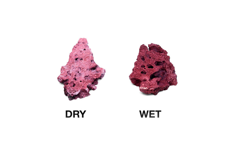 Natural Reef Shelf Rock - Coralline