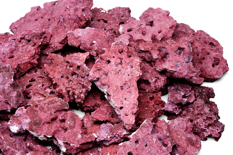 Natural Reef Shelf Rock - Coralline