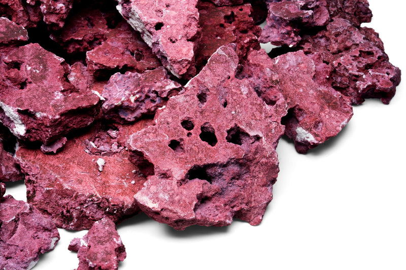 Natural Reef Shelf Rock - Coralline