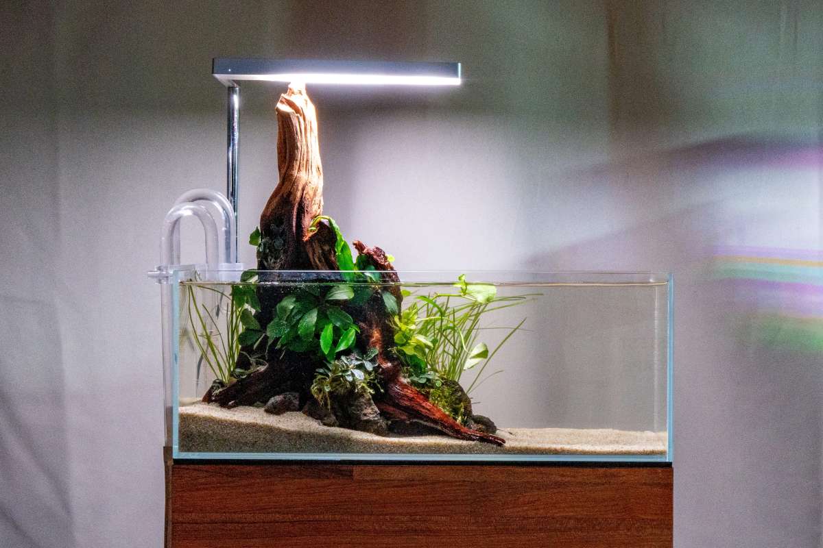 ライト・照明器具 ONF FLAT nano ONF Flat Nano LED Light - Desktop Clip-On LED — Buce Plant